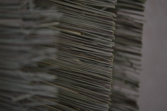畳がつなぐ豊かな生活